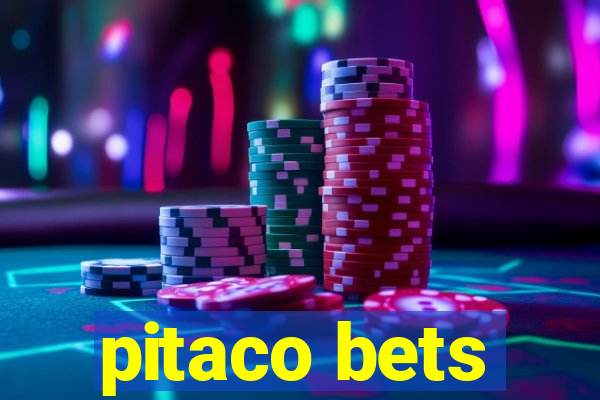 pitaco bets